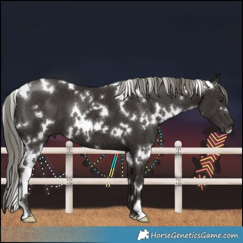 Horse Color:White Spotted Liver Chestnut Mushroom 