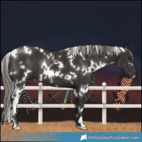 Horse Color:White Spotted Liver Chestnut Mushroom 