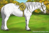 Horse Color:Black Sabino  and Black Sabino 