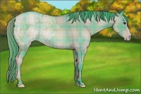 Horse Color:Watercolor Plaid  Classic Champagne Ice 