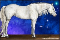 Horse Color:White Spotted Liver Red Dun Ice Pearl Splash Tobiano Rabicano  and White Spotted Liver Chestnut Ice Pearl Sabino Splash Appaloosa 