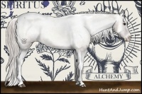 Horse Color:Silver Bay Onyx Tobiano Appaloosa 