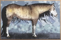 Horse Color:Buckskin Onyx Sabino 