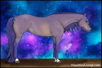 Horse Color:Watercolor Bay 