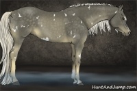 Horse Color:White Spotted Chocolate Palomino Sabino