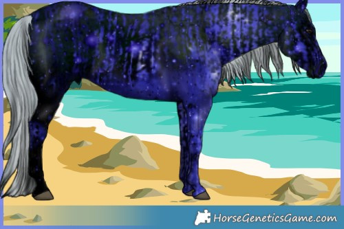 Horse Color:ERROR: UNKNOWN ANOMALY and ERROR: UNKNOWN ANOMALY