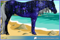 Horse Color:ERROR: UNKNOWN ANOMALY and ERROR: UNKNOWN ANOMALY