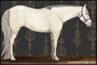 Horse Color:Chocolate Palomino Pearl Dun