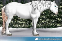 Horse Color:Brown Ice Splash Frame Appaloosa Rabicano 