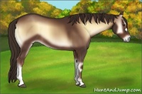 Horse Color:Red Onyx 