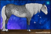 Horse Color:Silver Black Chinchilla Sabino