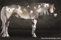 Horse Color:White Spotted Silver Blue Onyx 