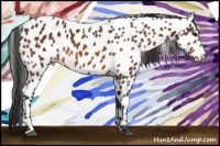 Horse Color:Bay Near Leopard 