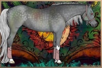 Horse Color:Silver Black Chinchilla 