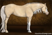 Horse Color:Silver Amber Cream Champagne 