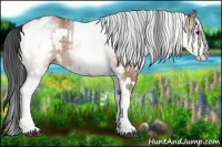 Horse Color:White Spotted Bay Dun Rabicano  and White Spotted Bay Dun Rabicano 