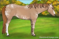 Horse Color:Chestnut Ice 