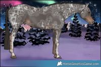 Horse Color:Liver Chestnut Ice 