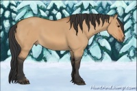 Horse Color:Bay Dun