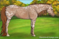Horse Color:Chestnut Ice 