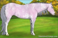 Horse Color:Watercolor White Spotted Perlino Ice Sabino 