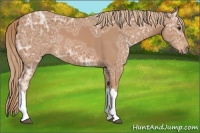 Horse Color:Chestnut Ice 