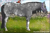 Horse Color:Black Ice 