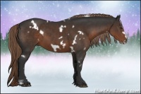 Horse Color:White Spotted Liver Chestnut Frame