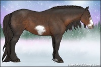 Horse Color:Liver Chestnut Sabino Frame 