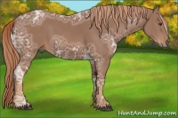 Horse Color:Chestnut Ice 