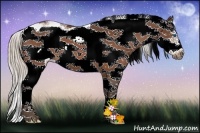 Horse Color:Silver Bay Sabino Frame 