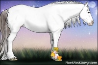 Horse Color:Brown Ice Sabino Appaloosa Rabicano 