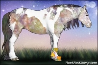 Horse Color:Nacre Brown Ice Dun Sabino Tobiano Rabicano