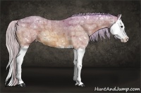 Horse Color:Watercolor Silver Bay Ice Roan Splash