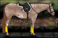 Horse Color:Chestnut Ice 