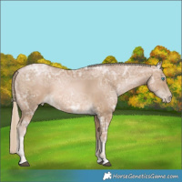 Horse Color:Chocolate Palomino Ice Pearl 