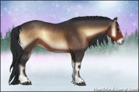 Horse Color:Brown Onyx