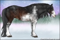Horse Color:Brown Ice Sabino 
