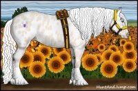 Horse Color:Cremello Appaloosa 