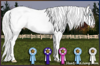 Horse Color:Gray Smoky Creme Dun Tobiano Rabicano 