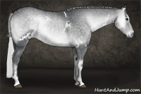Horse Color:White Spotted Silver Blue Onyx Chinchilla 