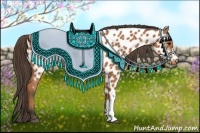 Horse Color:Bay Appaloosa