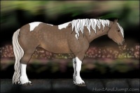 Horse Color:Silver Buckskin Tobiano 