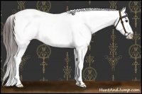 Horse Color:Brown Roan Dun Splash Snowcap 