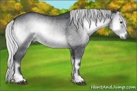 Horse Color:Silver Blue Onyx Chinchilla Sabino 