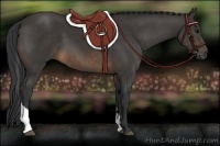 Horse Color:Buckskin Tobiano 