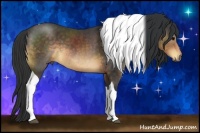 Horse Color:Buckskin Tobiano 