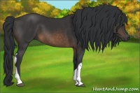 Horse Color:Buckskin Tobiano 