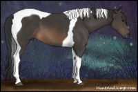 Horse Color:Buckskin Tobiano 