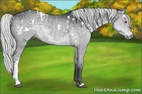 Horse Color:White Spotted Silver Grullo Chinchilla 